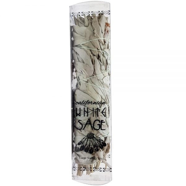 Californian White Sage 22cm. Large boxed.
