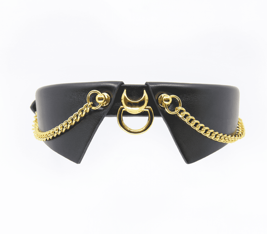Love In Leather Collar